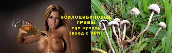 прущая мука Дмитриев
