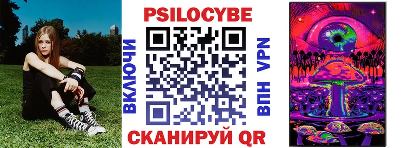 Купить  Лобня  Галлюциногенные грибы Psilocybine cubensis 